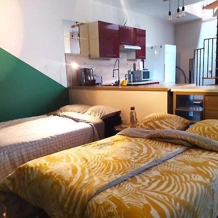Spacieux Appartement Au Calme 15Min Sud De Lyon Proche Metro Et Gare Confluence Aquarium Gerland Oullins Exteriör bild